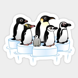 Pack of Penguins on an Ice Floe Sticker